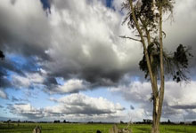 关于哈尔滨毅腾壮心不负，成功晋级八强的信息